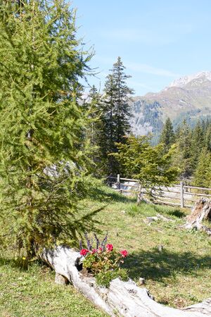 Hubertuskapelle schlierersee-0330-2021-09-14.jpg