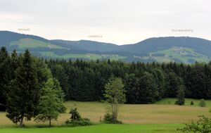 Lehmbergansicht von der Riedlstraße in Hof aus.jpg