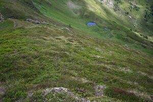 Twengeralm 29767 2016-07-10.jpg