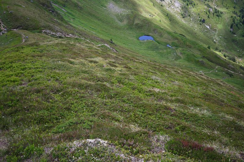 Datei:Twengeralm 29767 2016-07-10.jpg