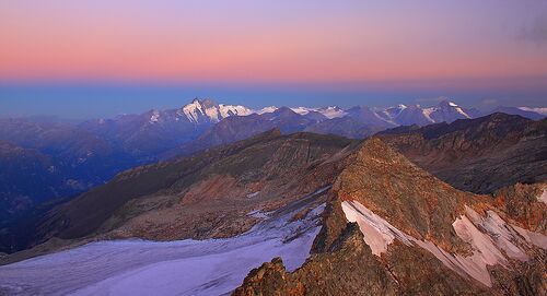 Goldzechkopf zur blauen Stunde.jpg