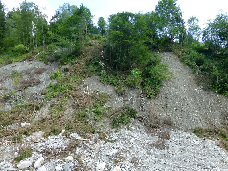 Datei:Grieser Graben, Hangbereich 5.jpg