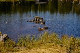 Tauernkarsee-109-2020-09-18.jpg