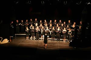 Vokalensemble Einklang Konzert Mollwut 2017.jpg