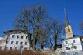 2025 04 02 Naturdenkmäler im Kirchenbezirk von Neumarkt am Wallersee.jpg