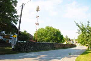 Holzstapel in Anthering.jpg