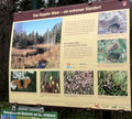 Koppler Moor, Schautafel am Beginn des Moores.jpg