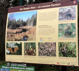 Koppler Moor, Schautafel am Beginn des Moores.jpg