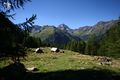 Lindlalm lessachtal 33798 2016-08-25.jpg