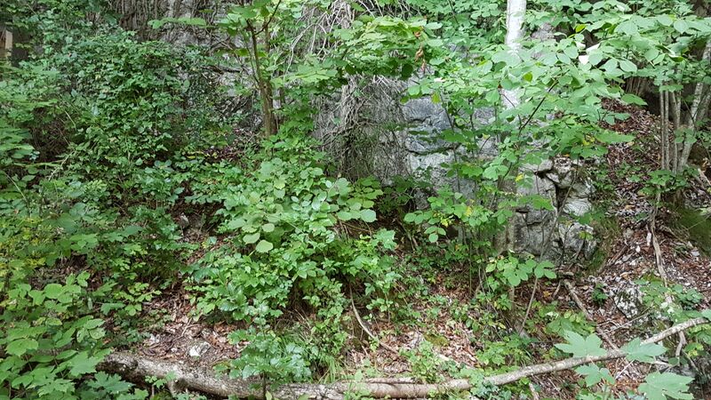Datei:Scharflinger Tunnel Südportal(SKGLB).jpg