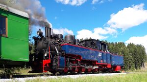 Dampfzug Taurachbahn Lungau 20250831 3 (31).jpg