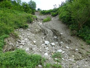 Grieser Graben, Hangbereich 2.jpg
