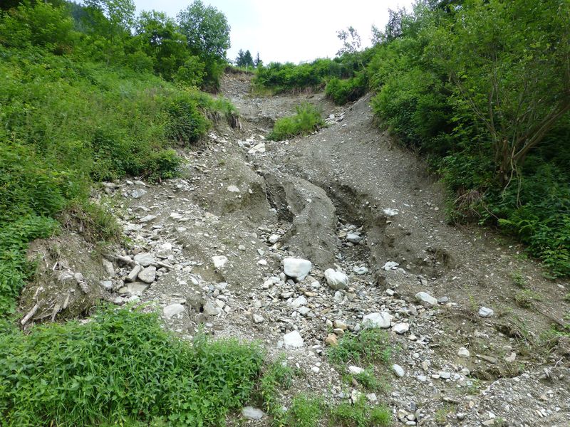 Datei:Grieser Graben, Hangbereich 2.jpg