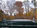 Heckentheater-2015.jpg