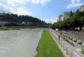 Hurtig der Salzach entlang.jpg