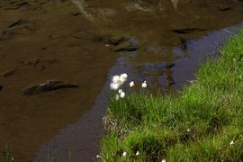 Lindlsee lessachtal 32999 2016-08-25.jpg