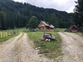 Mühlthaleralm-14-2022-07-14.jpg