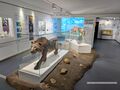 2025 02 02 Haus der Natur 16.jpg