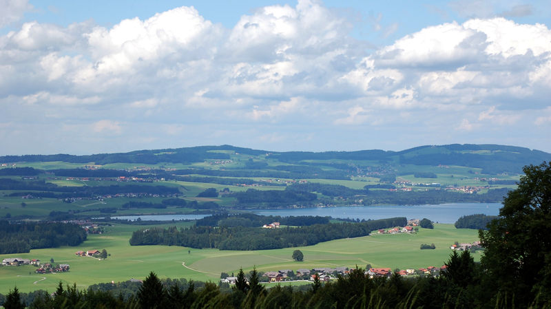 Datei:Gschirrnlinde im Mittelpunkt.jpg