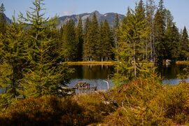 Tauernkarsee-108-2020-09-18.jpg