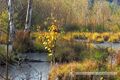 Wenger Moor Herbst 04 2014.jpg