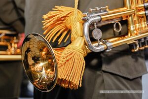 Angelobung 2015 in Neumarkt am Wallersee 46.jpg