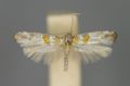 Vorschaubild der Version vom 14:48, 17. Aug. 2012