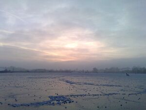 Eislaufen am Wallersee.jpg