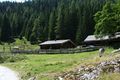 Fallhausalm forstau 63651 2013-07-23.jpg