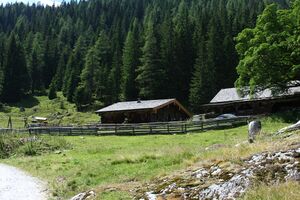 Fallhausalm forstau 63651 2013-07-23.jpg