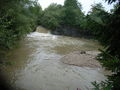 Gewässer in thalgau 053.jpg