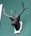 Hirsch als Jagdmotiv an dere Fassade des Caspar Moser Bräu.jpg
