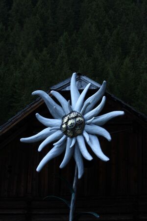 Laßhoferalm lessach 34074 2016-08-25.jpg