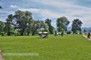 2021 06 27 Naturstrandbad Zell Wallersee 3.jpg