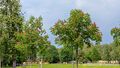 2025 05 03 Rosskastanie Schlosspark Hellbrunn 04.jpg