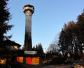 Aussichtsturm in Lohnsburg.jpg