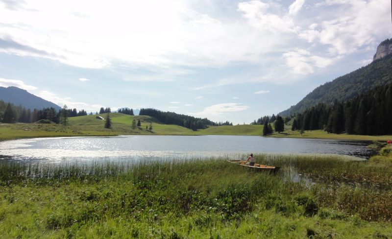 Datei:Bootsfahrt am Seewaldsee.jpg