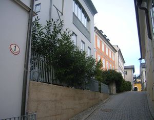 Pausingerstraße.jpg