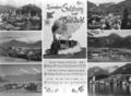 Salzkammergut-Lokalbahn Risch-Lau.jpg
