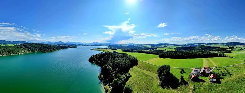 Wallersee Drohnenaufnahmen Sommer 2025 08.jpg
