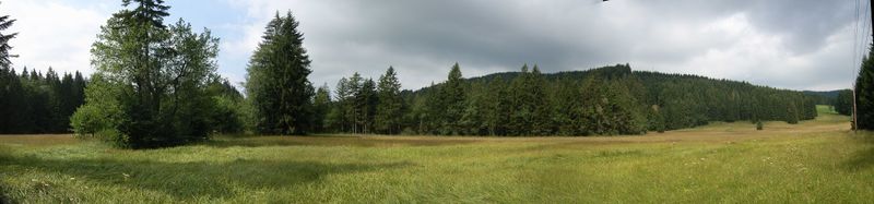 Datei:Wasenmoosansicht, Streuwiesen.jpg