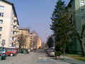Wilhelm-Erben-Straße.jpg