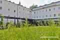 2023 06 16 Franziskanerkloster Salzburg Garten 3.jpg
