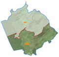56402 Anthering.jpg