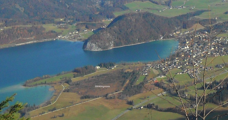 Datei:Blinklingmoos Kopie.jpg