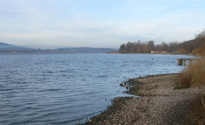 Datei:Henndorfstrand 10.11.08.jpg