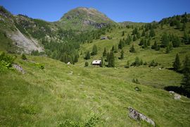 Wirpitschalm 29838 2016-07-10.jpg