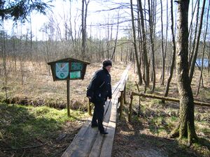 Bretterweg, Holzösterseerundweg.jpg
