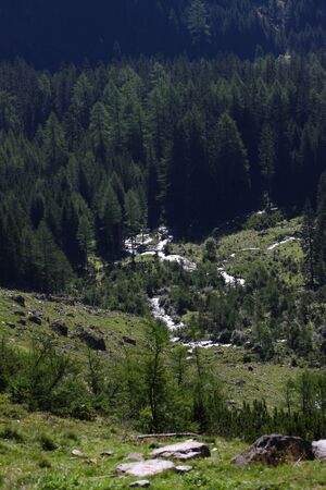 Lessachbach 33998 2016-08-25.jpg