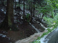 DSC00121.jpg
